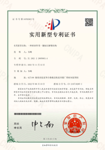 Topnovo patent certificate